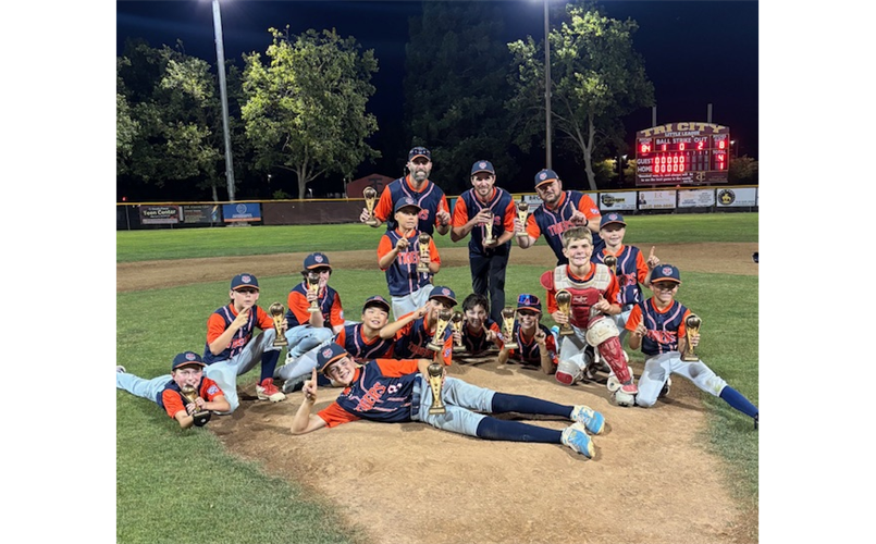 Tigers 1st Place 2026 Major Division